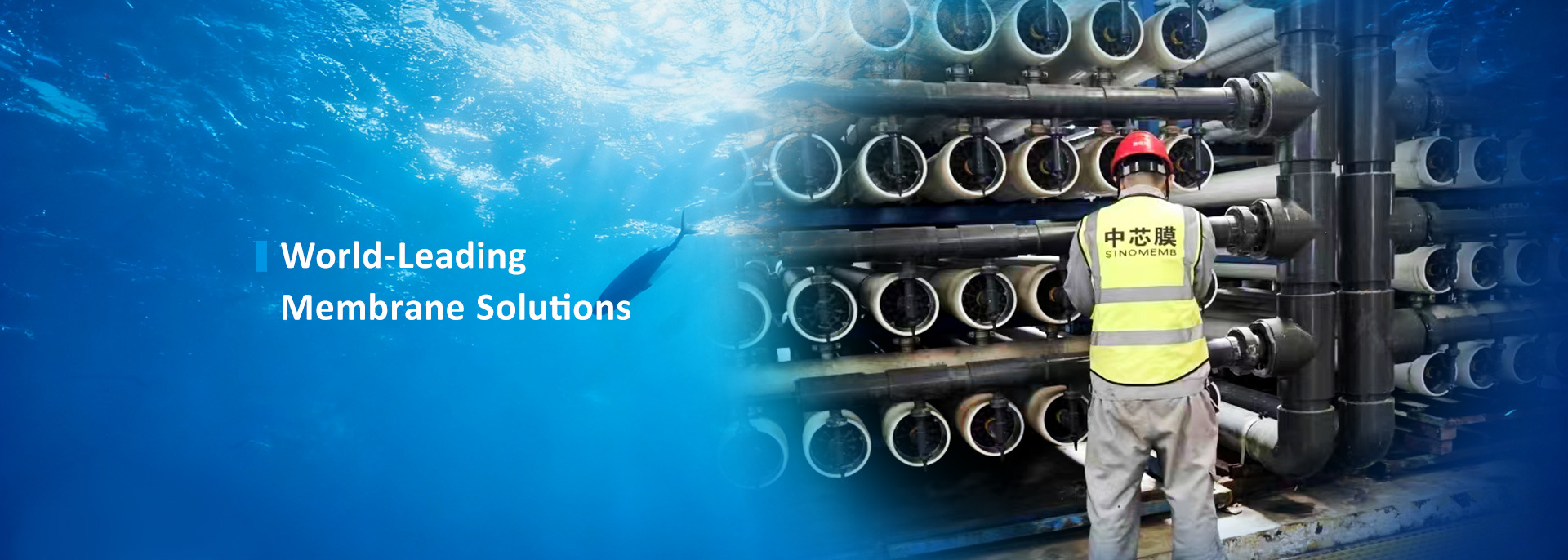 quality MBR Membrane factory